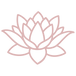 Lotus flower